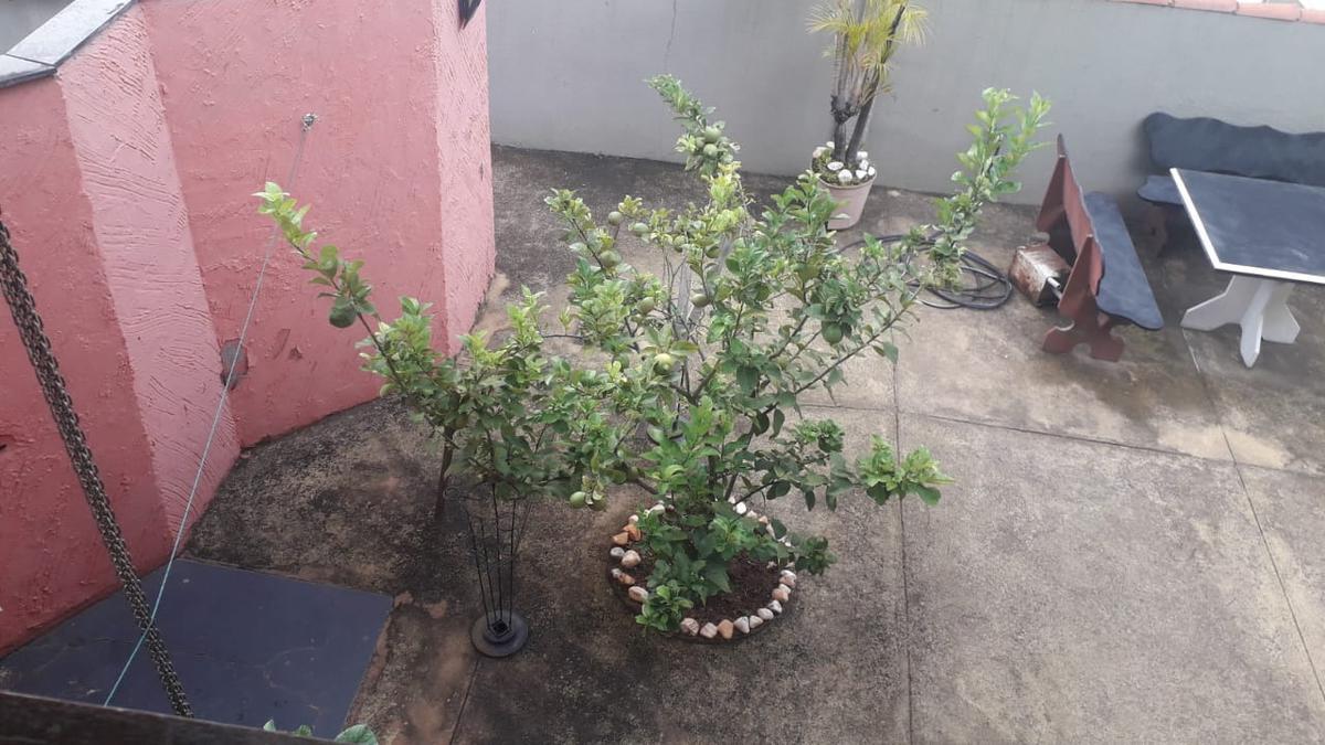 Casa, Nova Suíssa, 4 Quartos, 3 Vagas, 1 Suíte