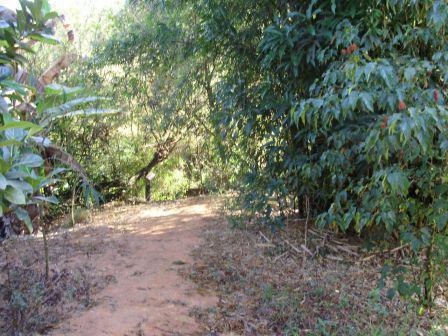 Fazenda, Centro, 4 Quartos, 10 Vagas, 1 Suíte