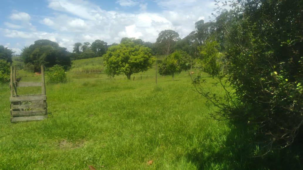 Fazenda, Zona Rural, 4 Quartos, 0 Vaga
