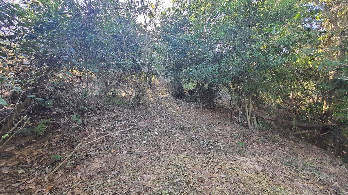 Lote, Ravena, 0 Quarto, 0 Vaga