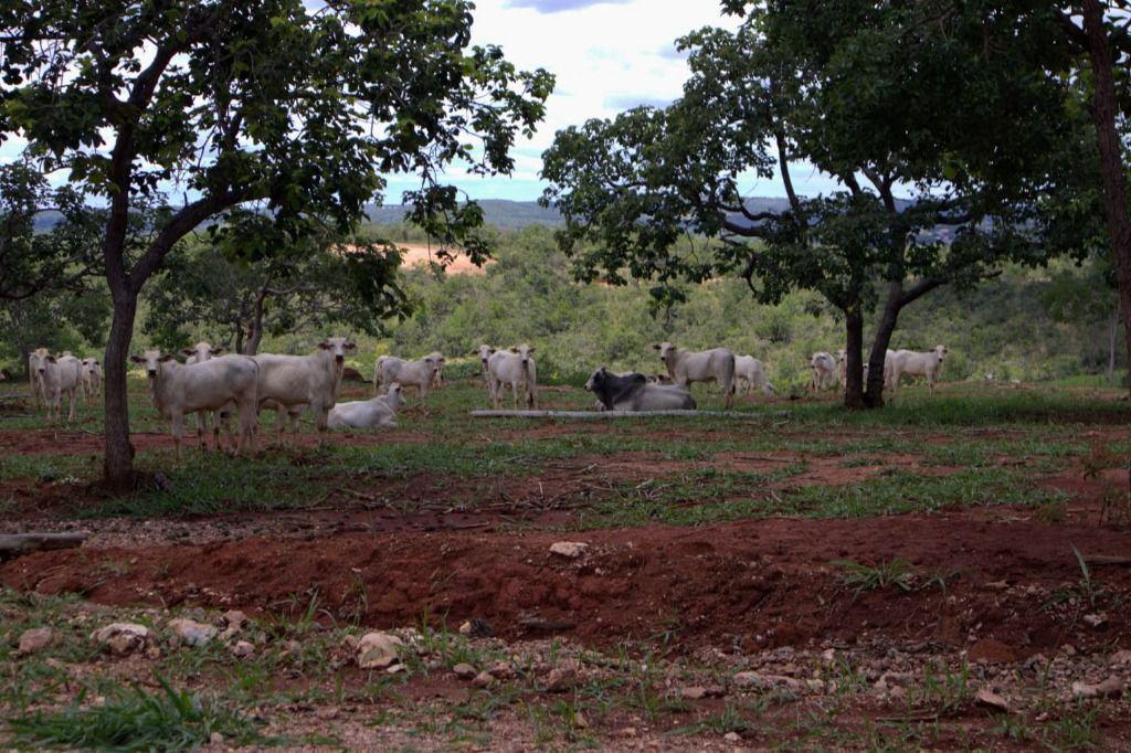Lote, Zona Rural, 0 Quarto, 0 Vaga