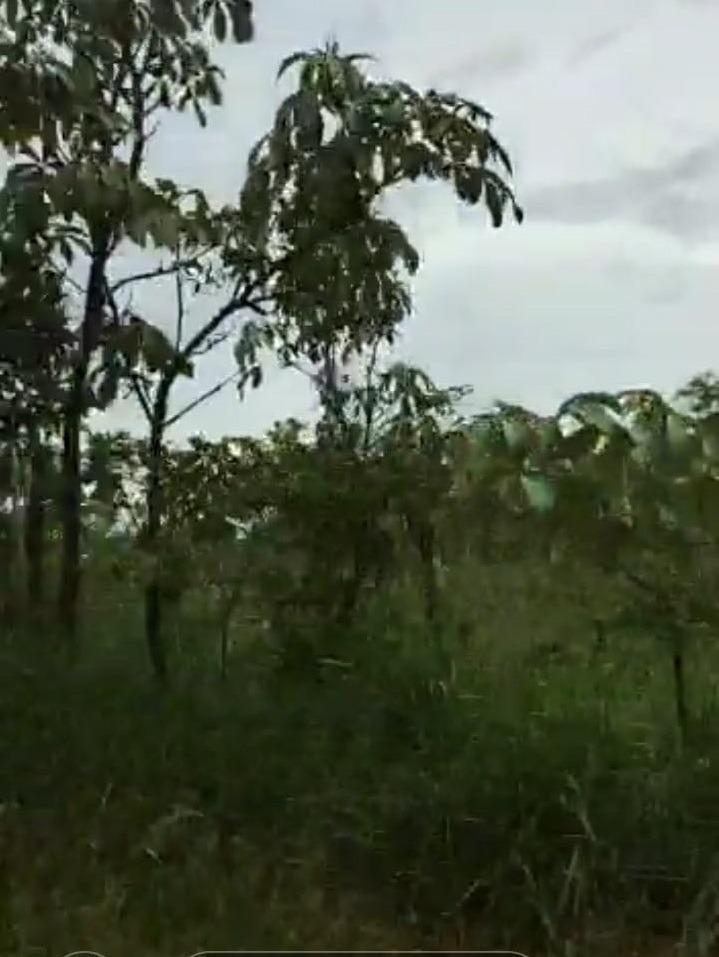 Fazenda, Zona Rural, 0 Quarto, 0 Vaga