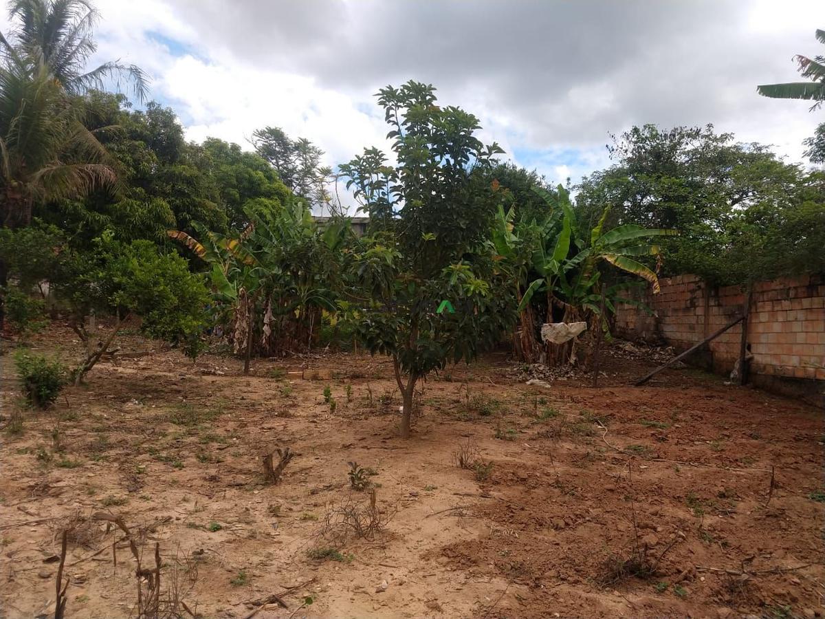 Lote, Tropeiros, 0 Quarto, 0 Vaga