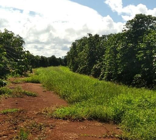 Fazenda, Zona Rural, 1 Quarto, 0 Vaga