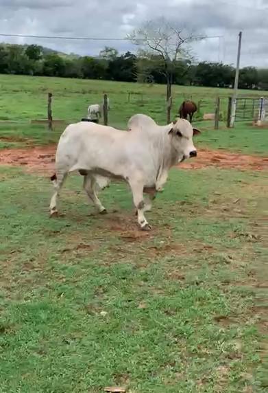 Fazenda, Zona Rural, 4 Quartos, 0 Vaga
