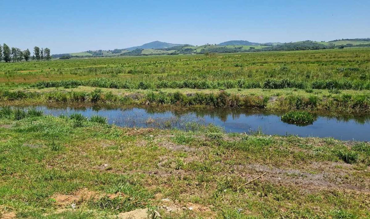 Fazenda, Centro, 0 Quarto, 0 Vaga
