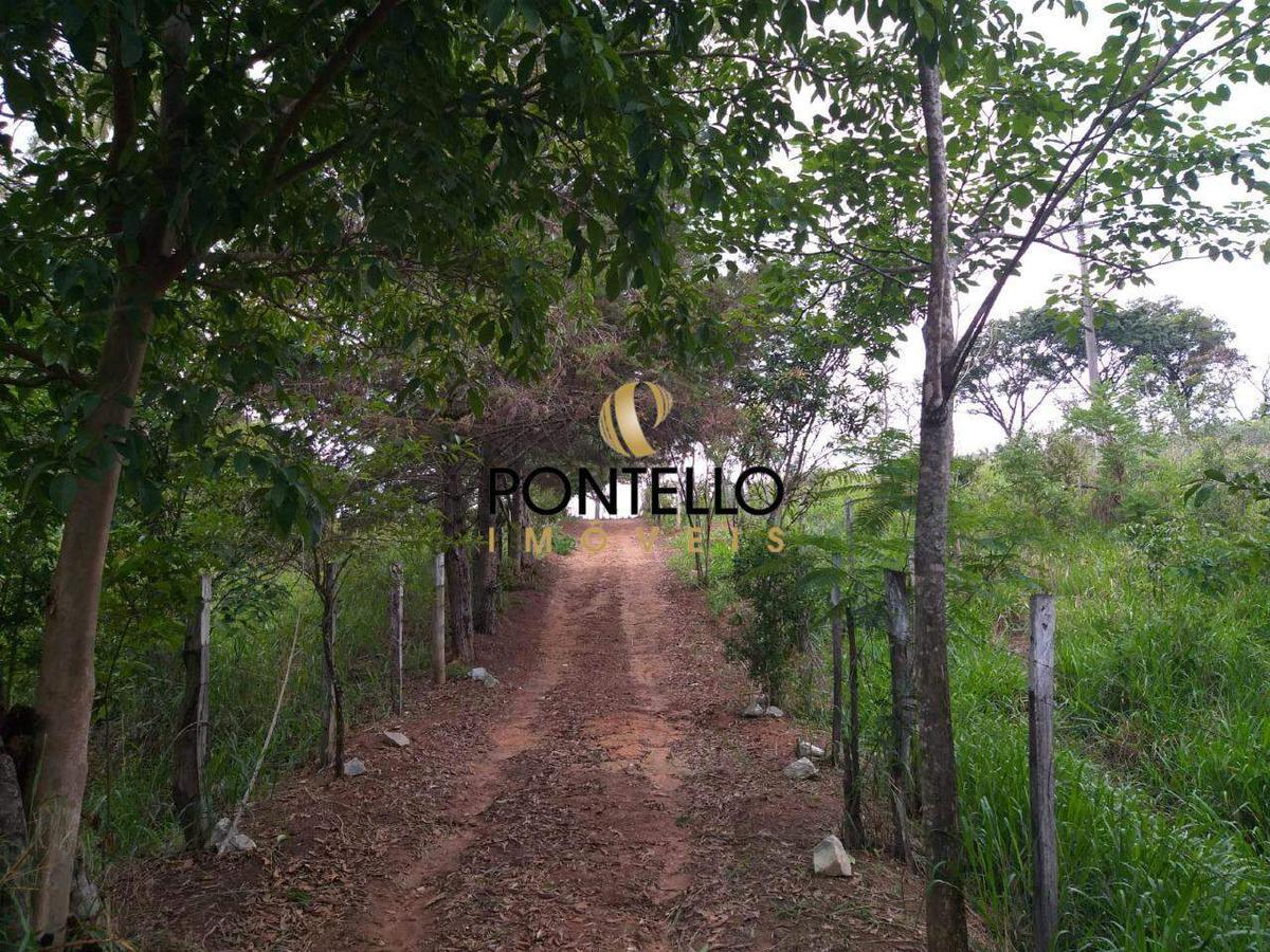 Lote, Vereda, 0 Quarto, 0 Vaga