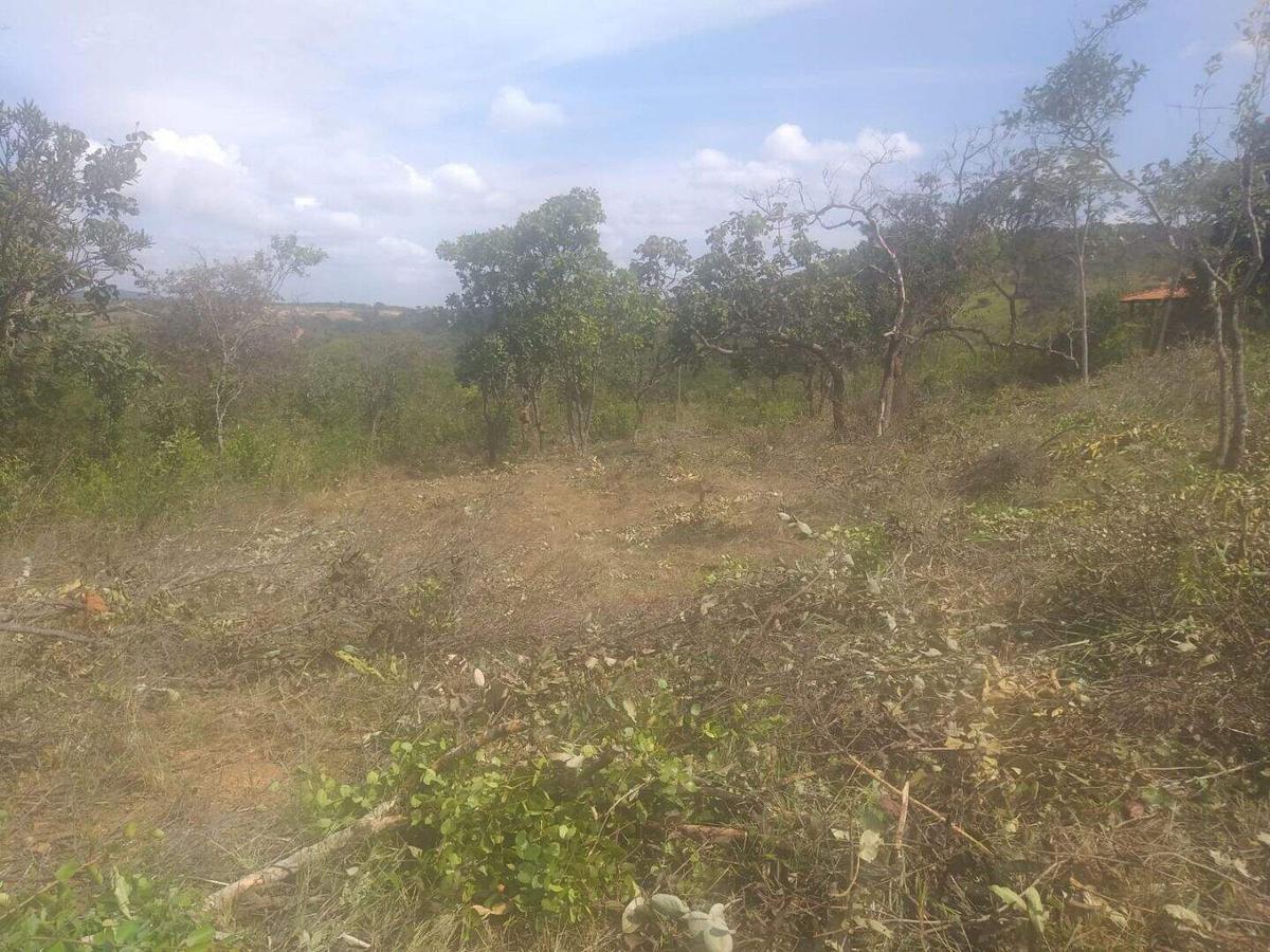 Lote, Zona Rural, 0 Quarto, 0 Vaga
