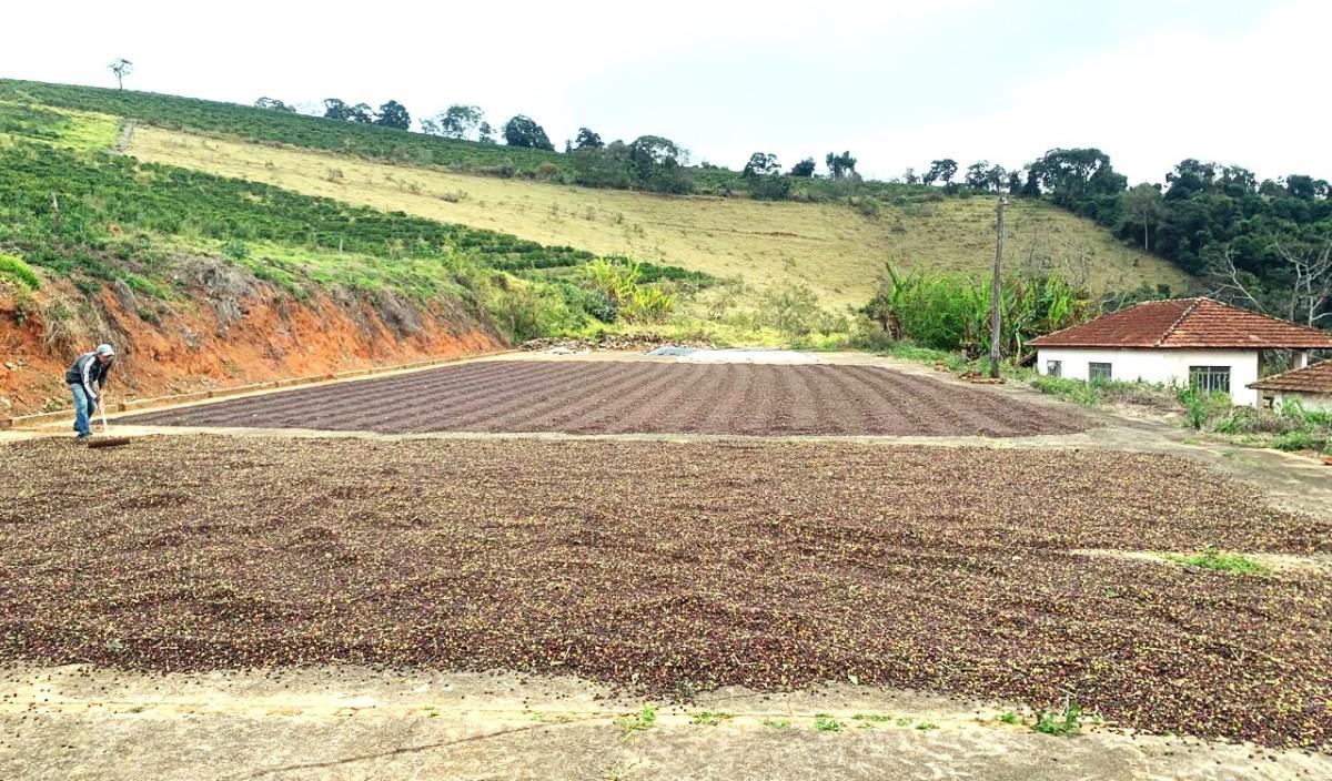 Fazenda, Centro, 2 Quartos, 1 Vaga, 1 Suíte