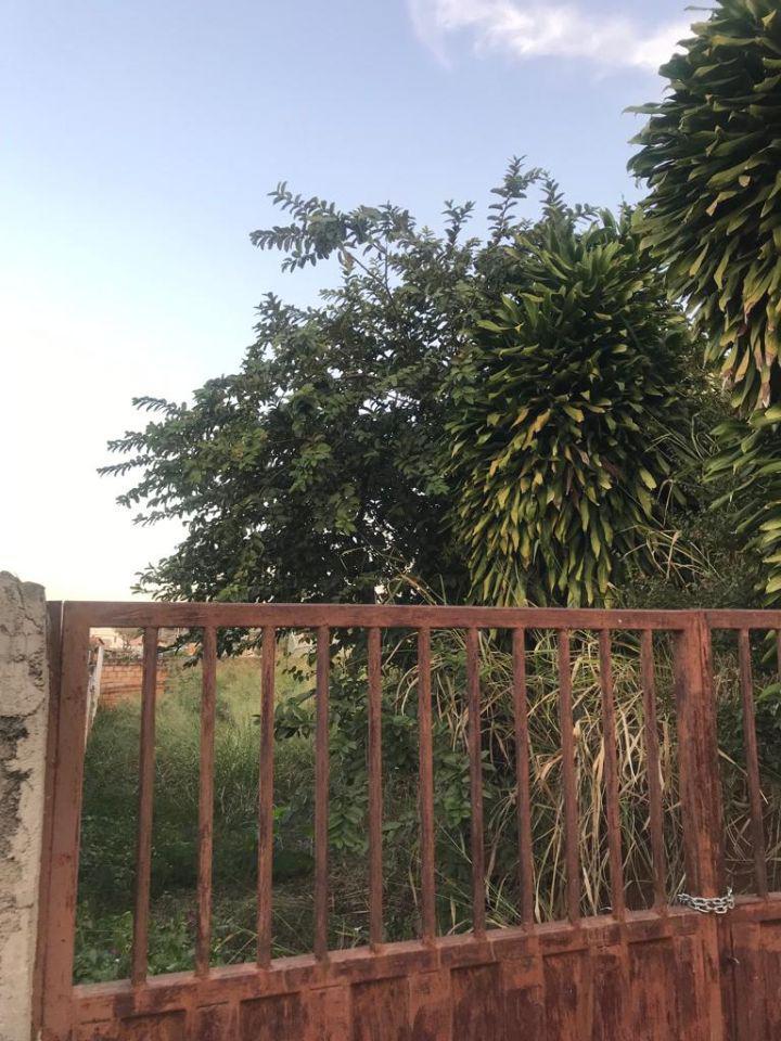 Lote, Santa Cruz, 0 Quarto, 0 Vaga