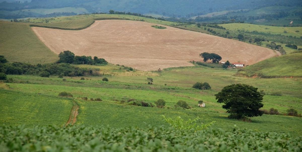 Fazenda, Zona Rural, 6 Quartos, 0 Vaga, 2 Suítes