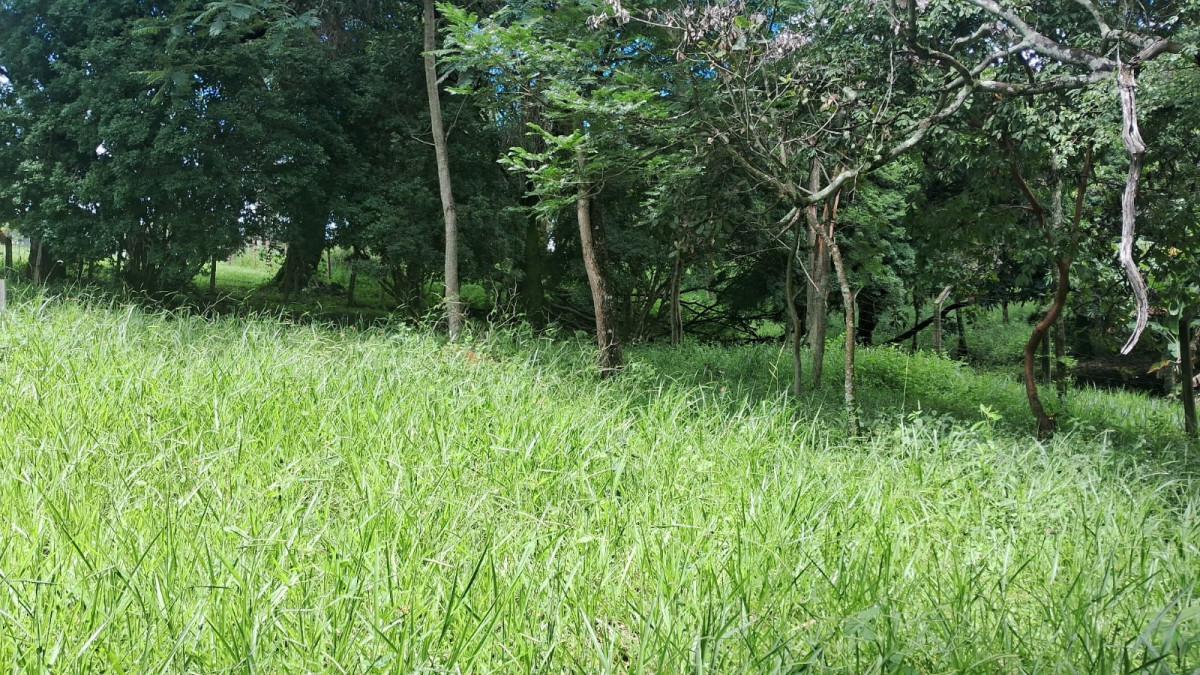 Lote, Parque Jardim Encantado, 0 Quarto, 0 Vaga