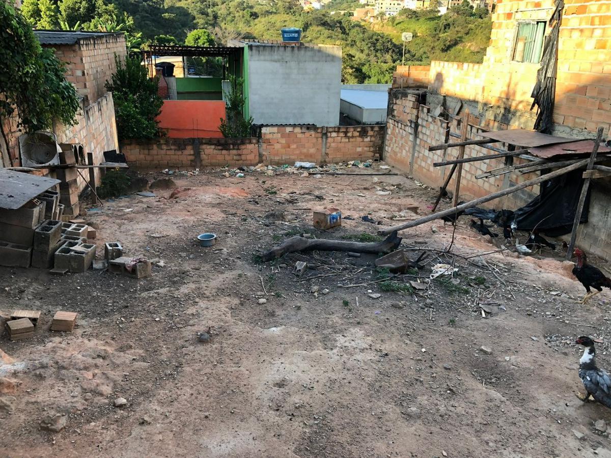 Lote, Palmeiras, 0 Quarto, 0 Vaga