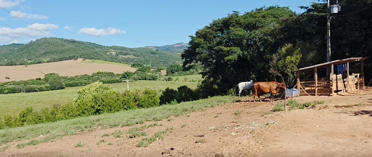 Fazenda, Zona Rural, 3 Quartos, 0 Vaga, 1 Suíte
