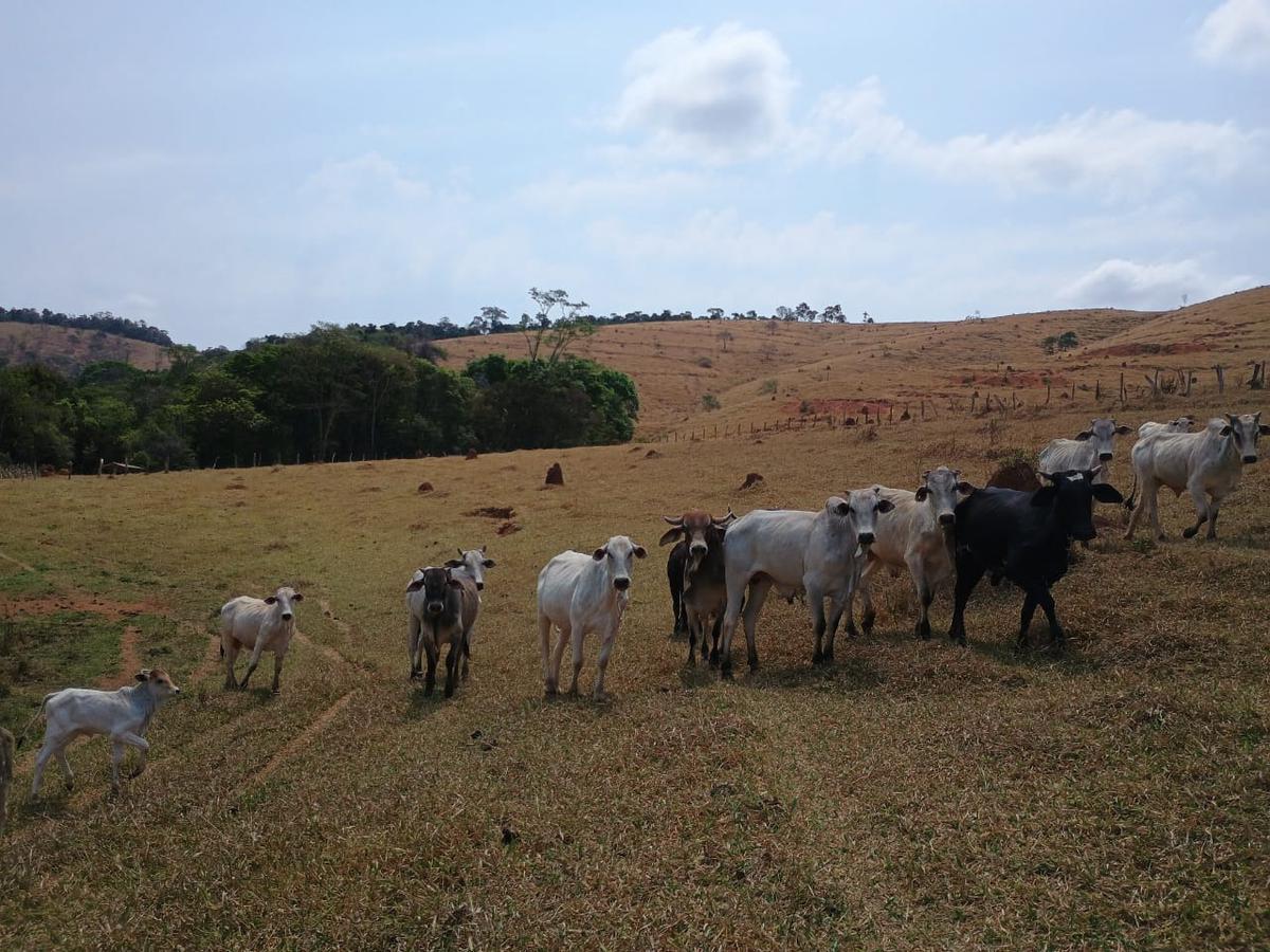 Fazenda, Centro, 3 Quartos, 10 Vagas, 1 Suíte