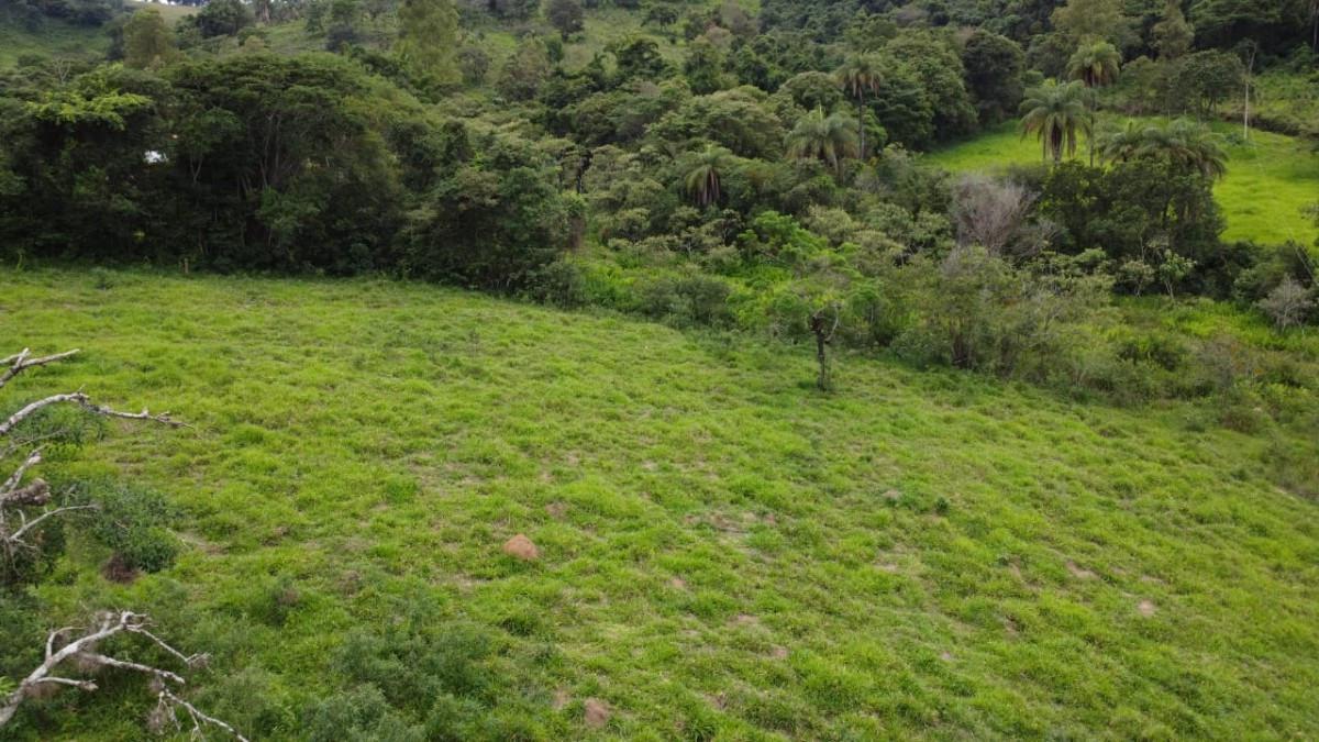 Fazenda, Zona Rural, 0 Quarto, 0 Vaga