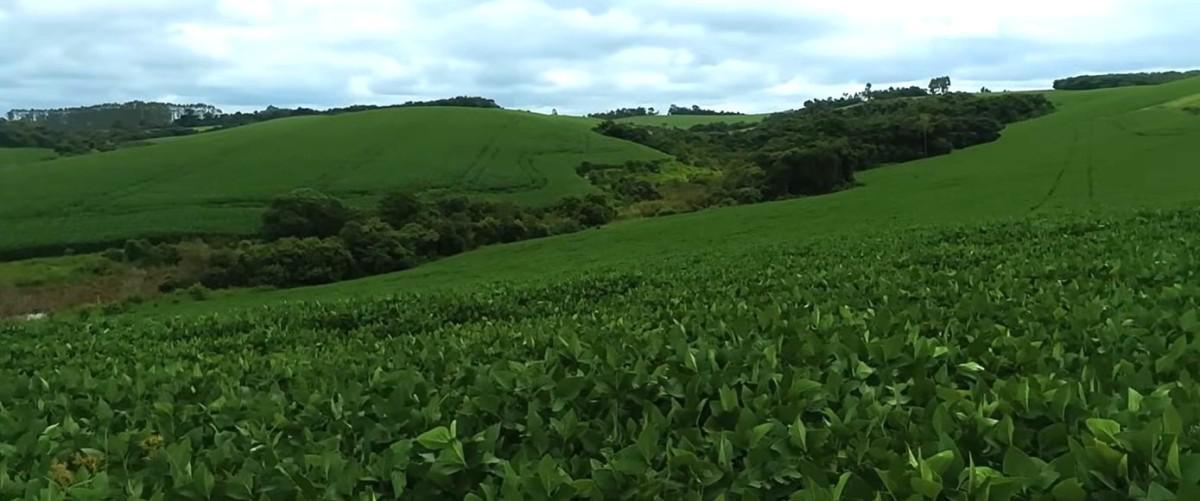 Fazenda, Zona Rural, 0 Quarto, 0 Vaga