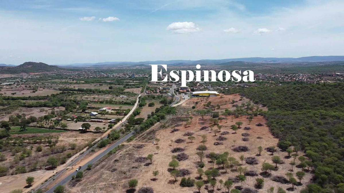 Fazenda, Centro, 0 Quarto, 0 Vaga