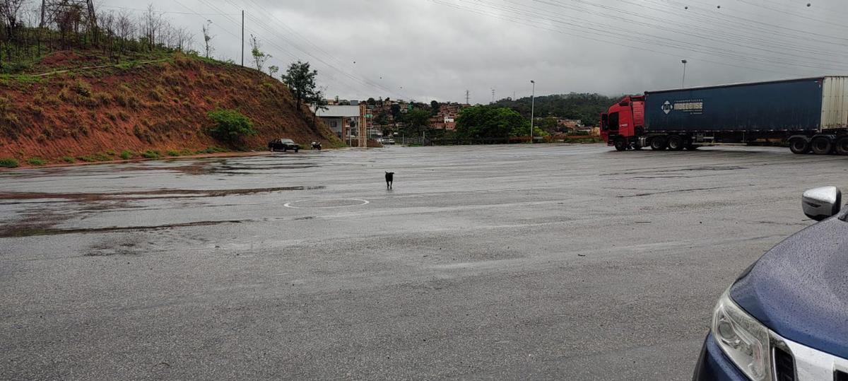 Lote, Frimisa, 1 Quarto, 0 Vaga