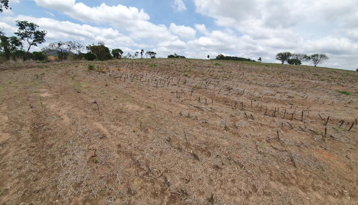 Fazenda, Centro, 1 Quarto, 1 Vaga, 1 Suíte