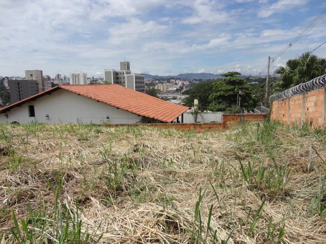 Lote, São Luiz (pampulha), 0 Quarto, 0 Vaga