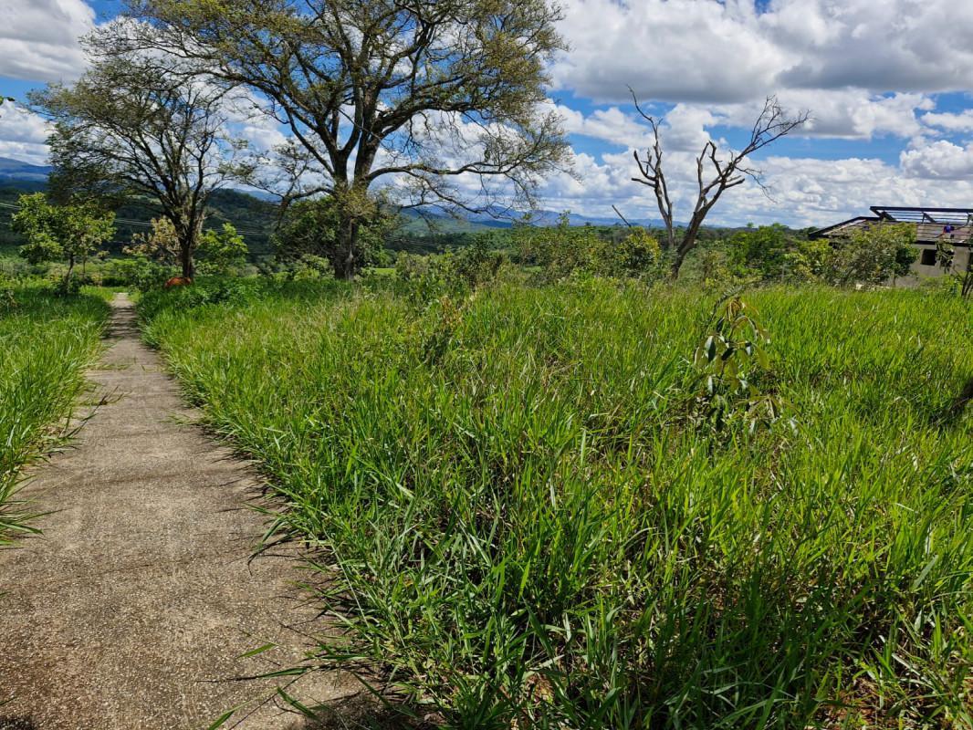 Lote, Lagoinha de Fora, 0 Quarto, 0 Vaga