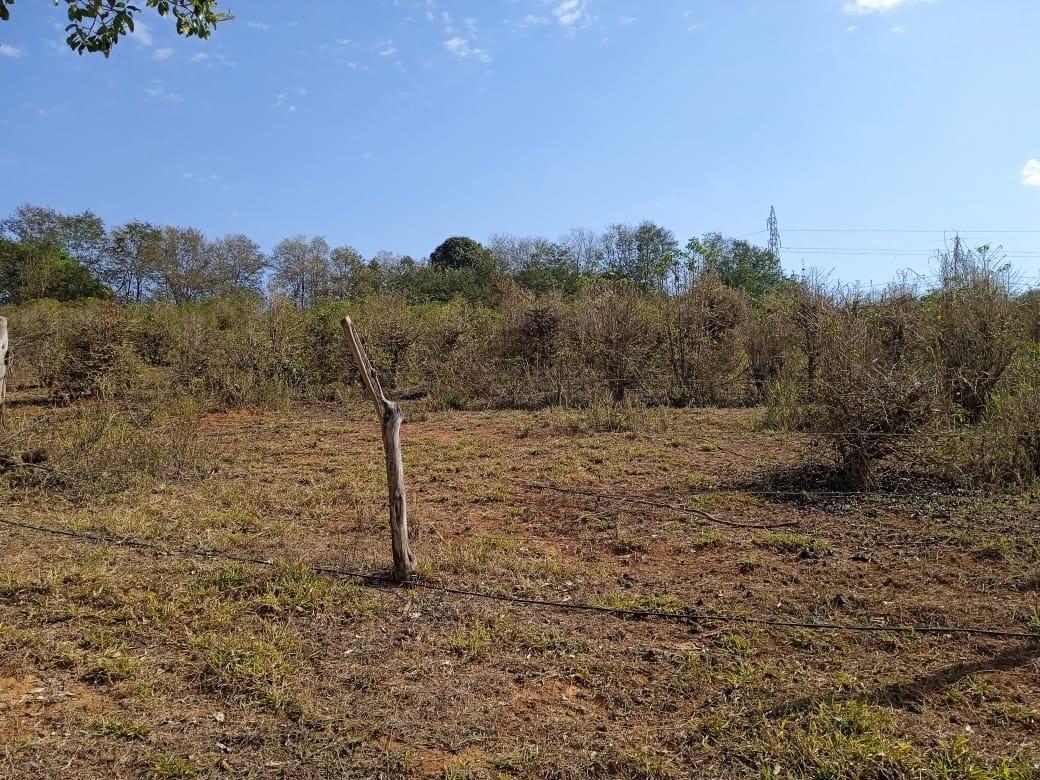 Fazenda, Zona Rural, 0 Quarto, 0 Vaga