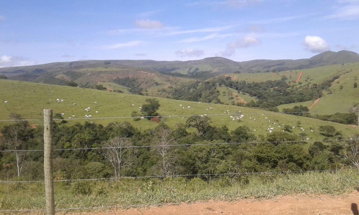 Fazenda, Centro, 1 Quarto, 1 Vaga, 1 Suíte