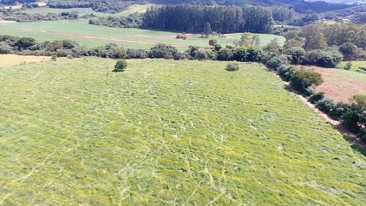 Fazenda, Zona Rural, 0 Quarto, 0 Vaga
