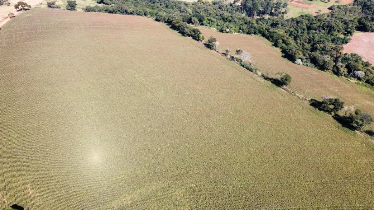 Fazenda, Centro, 0 Quarto, 0 Vaga
