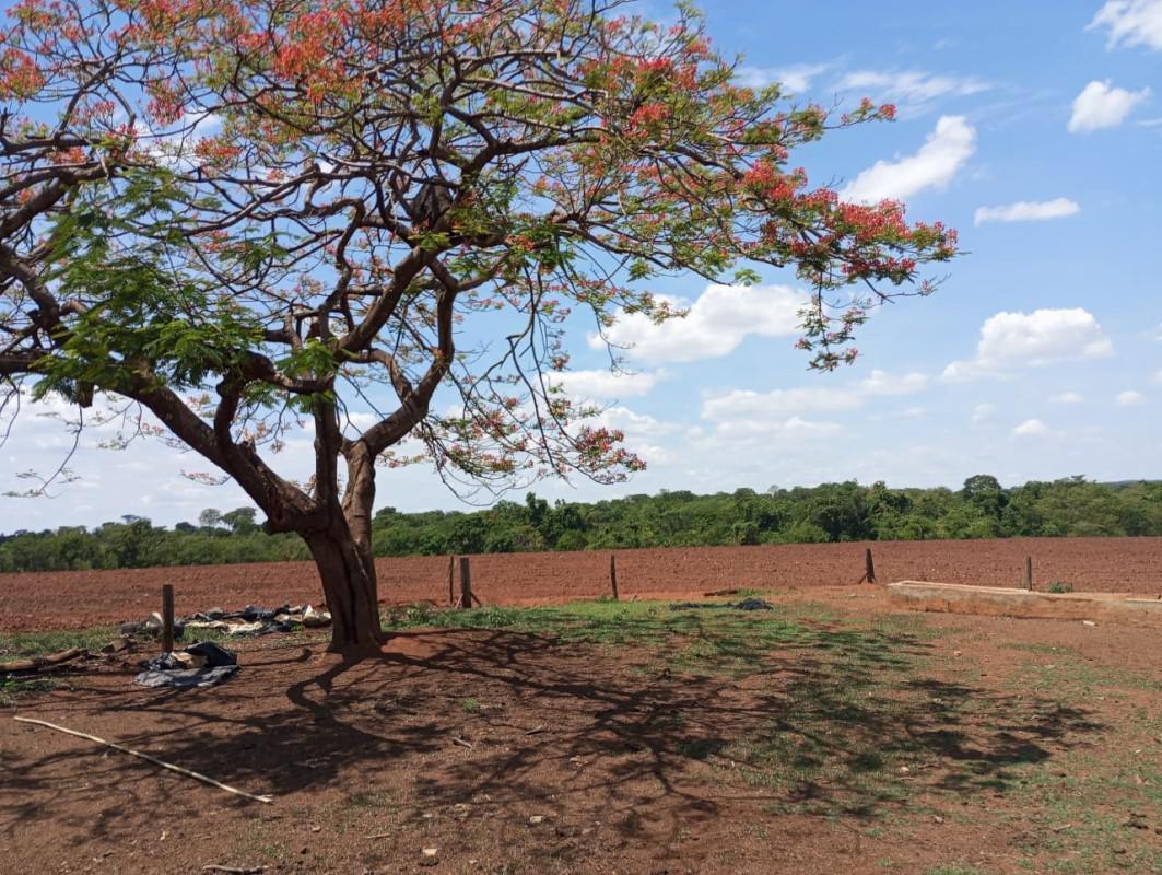 Fazenda, Centro, 0 Quarto, 0 Vaga