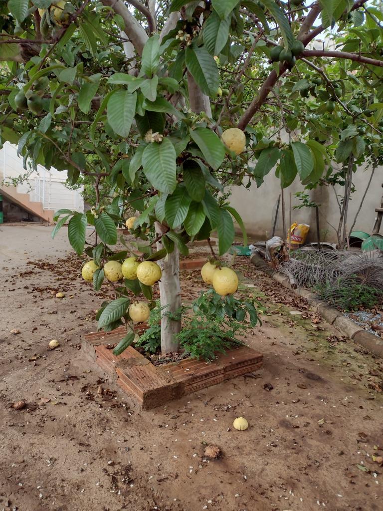 Casa, São Cosme de Baixo (são Benedito), 3 Quartos, 1 Vaga, 1 Suíte