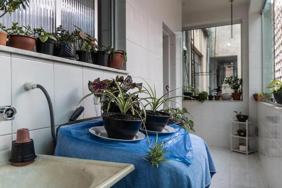 Apartamento, Coração de Jesus, 3 Quartos, 1 Vaga, 1 Suíte
