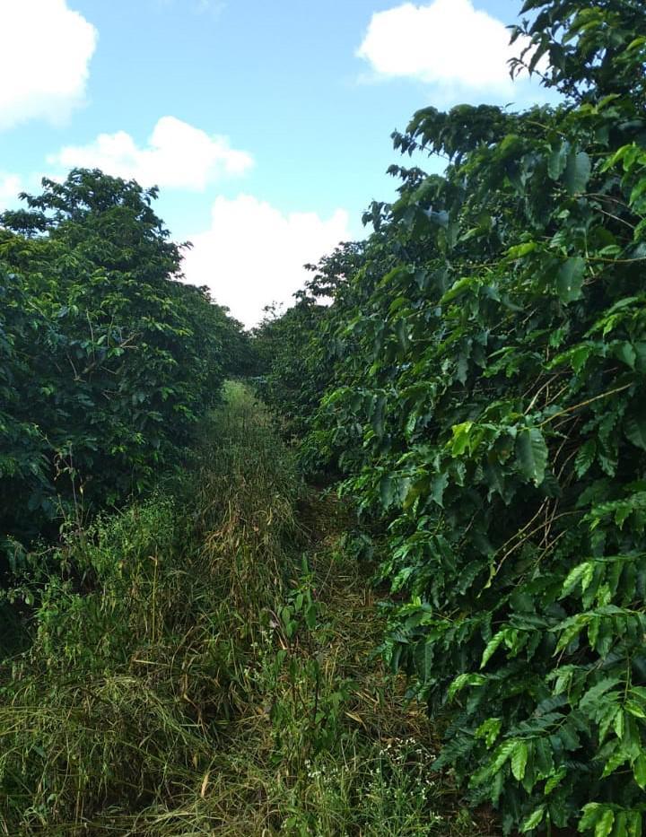 Fazenda, Zona Rural, 1 Quarto, 0 Vaga
