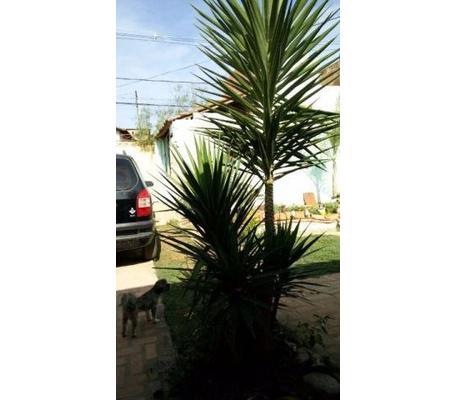 Casa, Ovídio Guerra, 3 Quartos, 3 Vagas, 2 Suítes