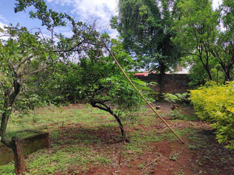 Fazenda, Centro, 6 Quartos, 0 Vaga, 1 Suíte