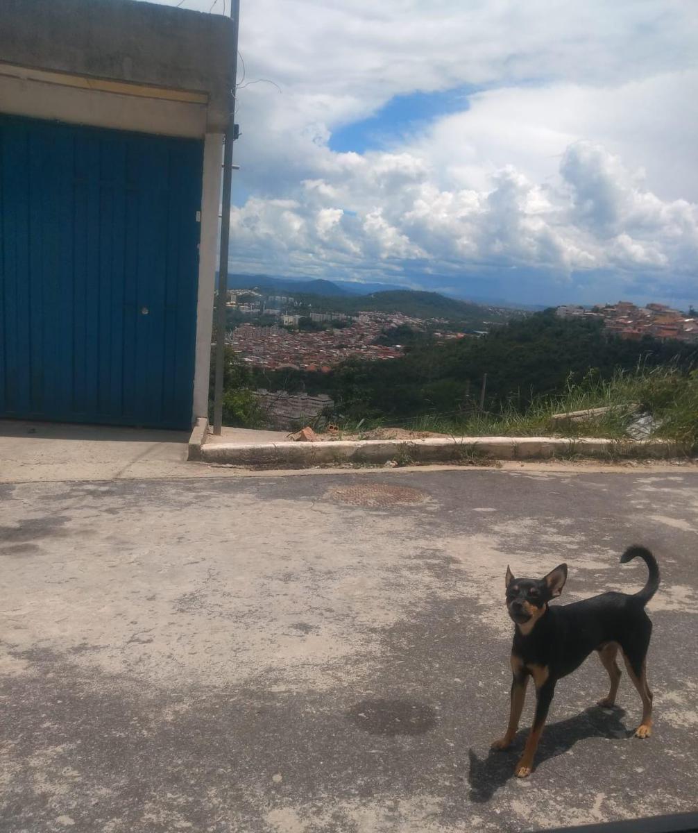 Lote, Castanheira, 0 Quarto, 0 Vaga