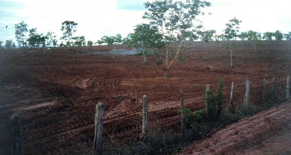 Fazenda, Zona Rural, 3 Quartos, 0 Vaga