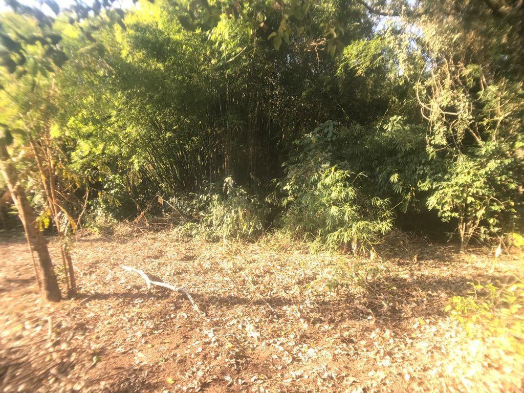 Fazenda, Centro, 4 Quartos, 0 Vaga