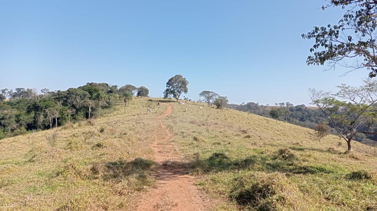 Fazenda, Zona Rural, 0 Quarto, 0 Vaga