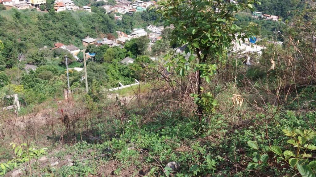 Lote, Morro São Francisco, 0 Quarto, 0 Vaga