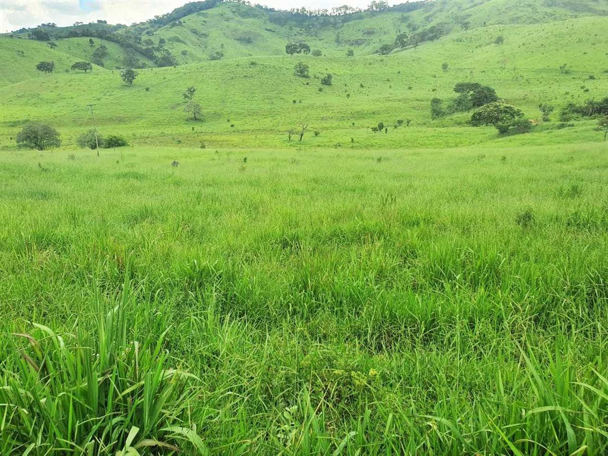 Fazenda, Zona Rural, 4 Quartos, 0 Vaga