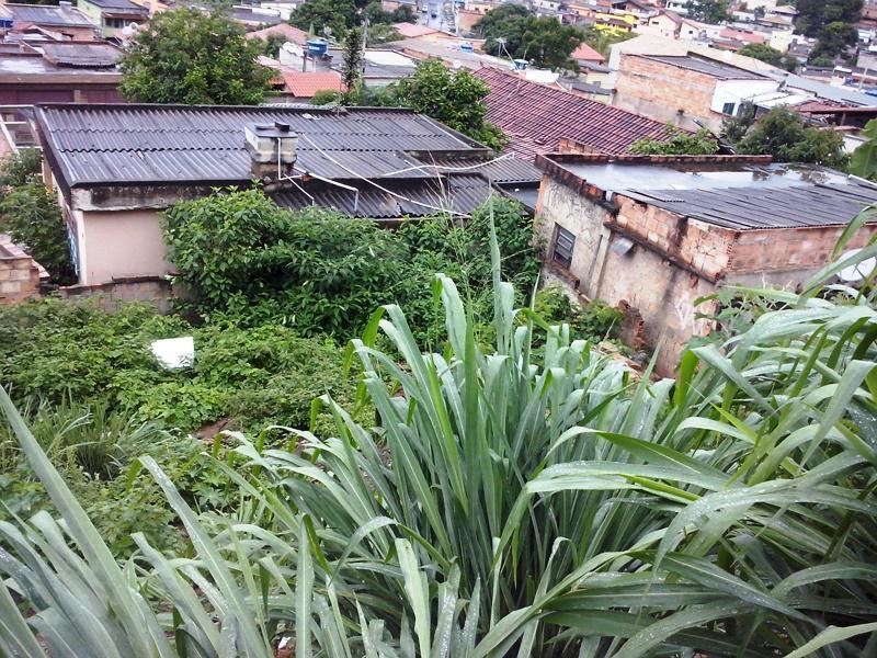 Lote, Céu Azul, 0 Quarto, 0 Vaga