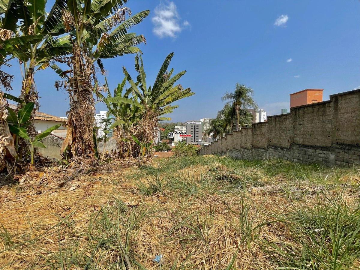 Lote, São Luiz (pampulha), 0 Quarto, 0 Vaga