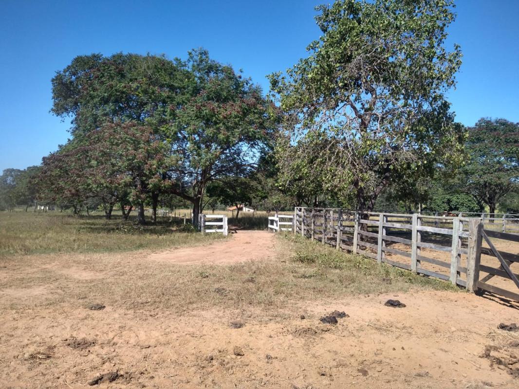 Fazenda, Zona Rural, 0 Quarto, 0 Vaga