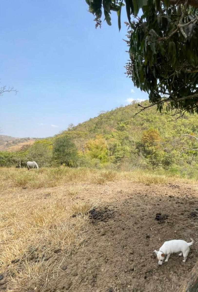 Fazenda, Centro, 4 Quartos, 10 Vagas