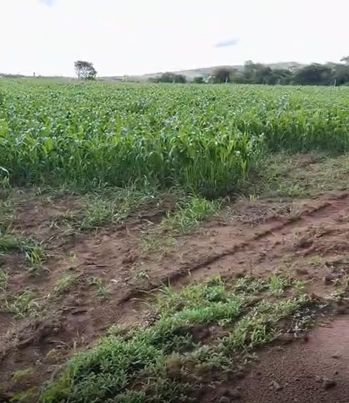 Fazenda, Zona Rural, 0 Quarto, 0 Vaga