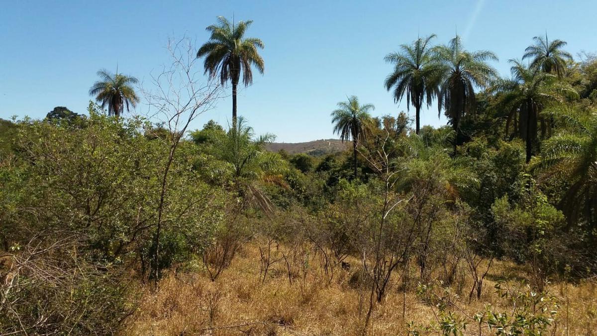 Lote, Zona Rural, 0 Quarto, 0 Vaga