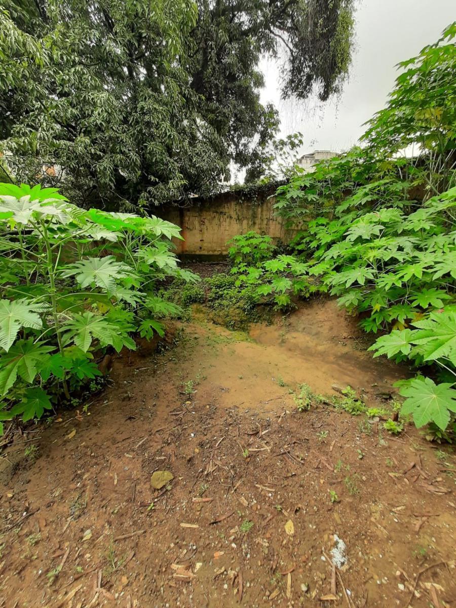 Lote, Alvorada, 0 Quarto, 0 Vaga