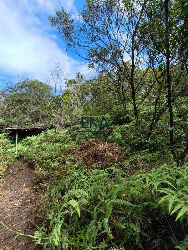 Lote, Parque do Engenho, 0 Quarto, 0 Vaga
